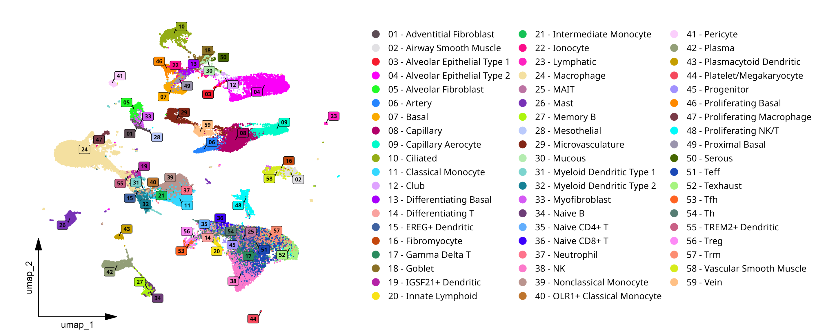 umap